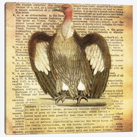 V - Vulture Square Canvas Print #AALP43} by 5by5collective Canvas Wall Art