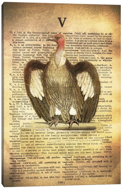 V - Vulture Canvas Art Print - Science Art