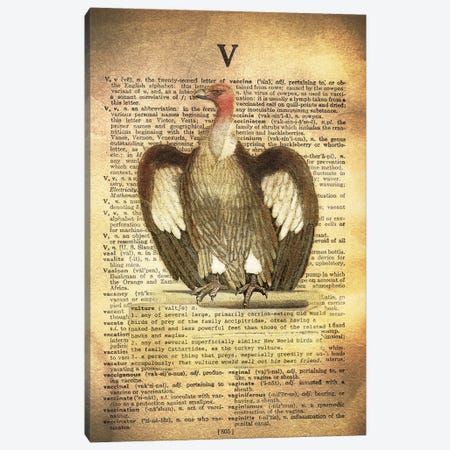 V - Vulture Canvas Print #AALP44} by 5by5collective Canvas Print