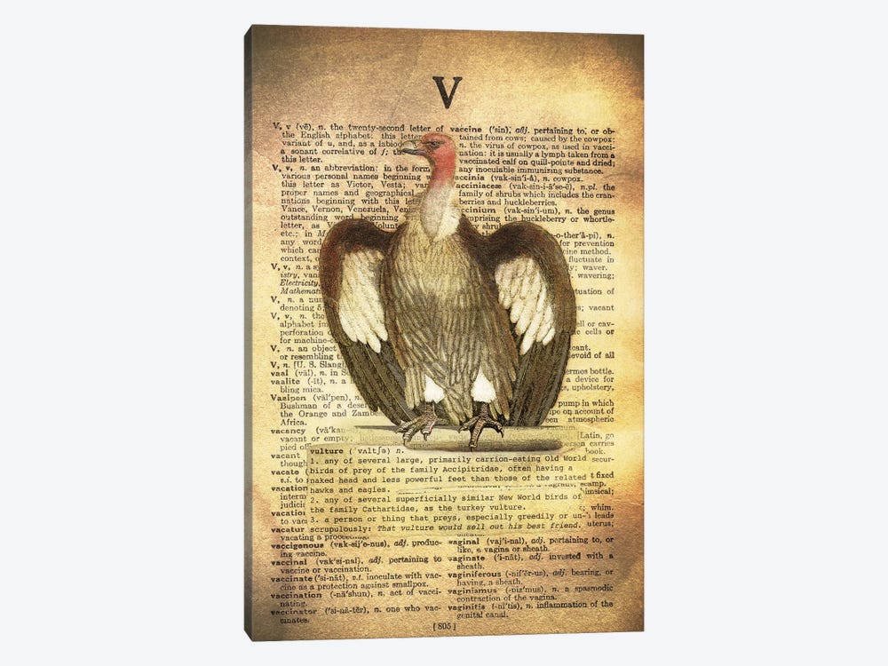 V - Vulture by 5by5collective 1-piece Canvas Art
