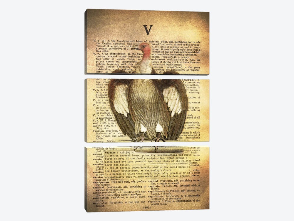 V - Vulture by 5by5collective 3-piece Canvas Art