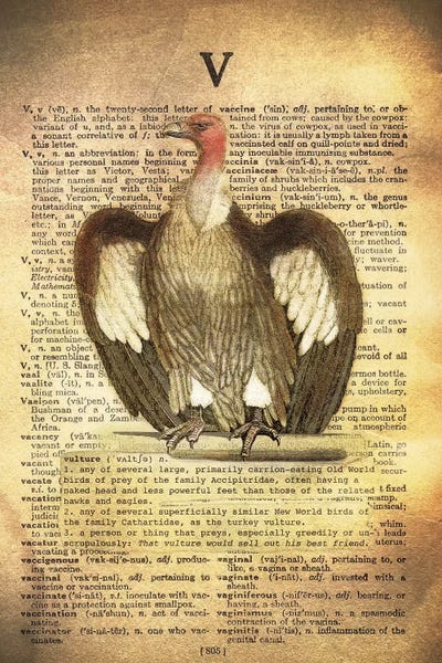 The Letter V: V - Vulture by 5by5collective
