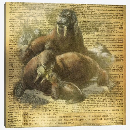 W - Walrus Square Canvas Print #AALP45} by 5by5collective Canvas Print