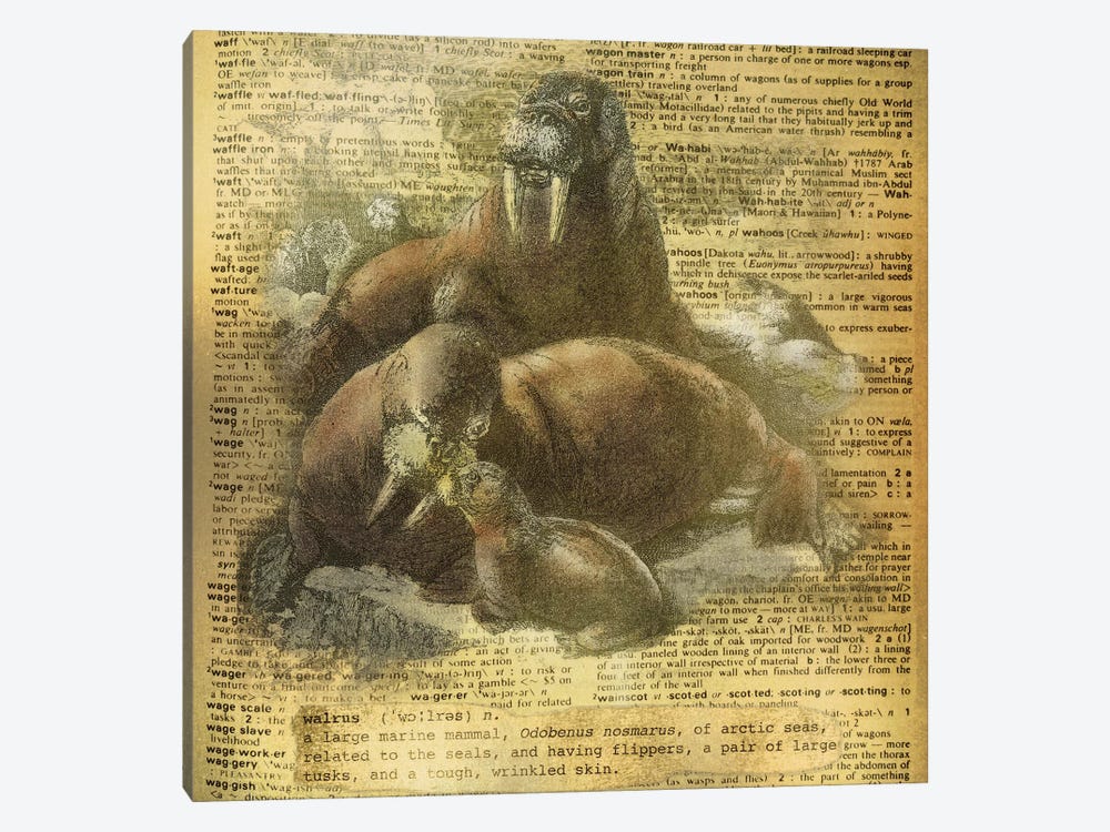 W - Walrus Square by 5by5collective 1-piece Canvas Print