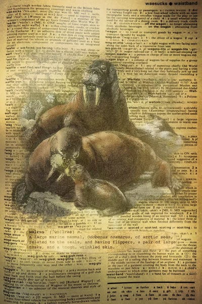 Walruses: W - Walrus by 5by5collective