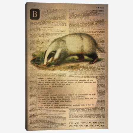 B - Badger Canvas Print #AALP4} by 5by5collective Canvas Wall Art