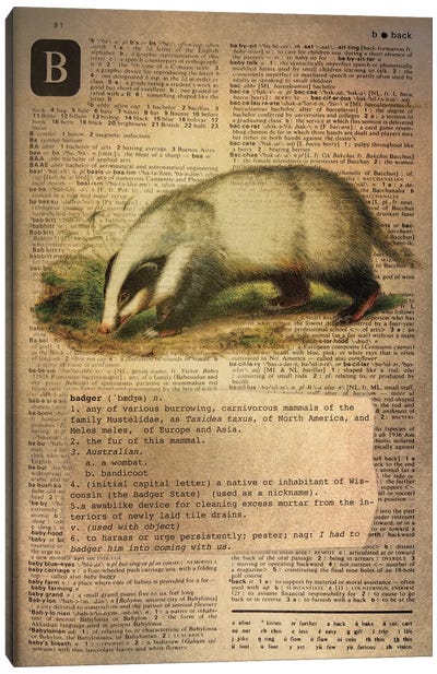 B - Badger Canvas Art Print - Alphabetical Animalia