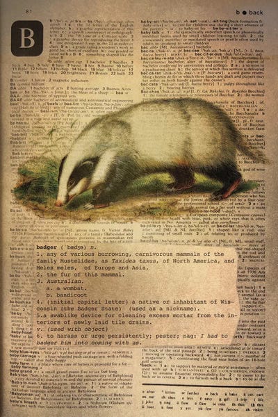 Badgers: B - Badger by 5by5collective