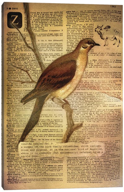 Z - Zenaida Canvas Art Print - Alphabetical Animalia