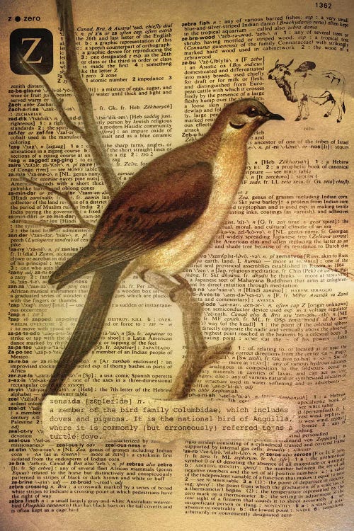 Z - Zenaida by 5by5collective wall art