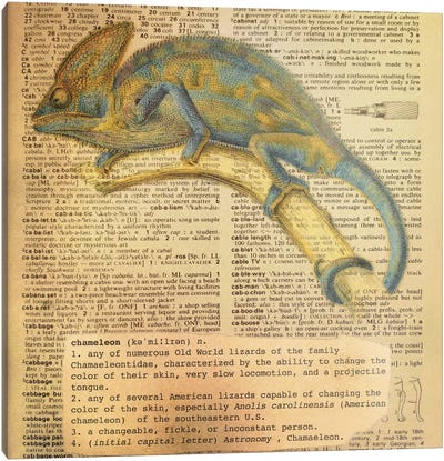 C - Chameleon Square Canvas Art Print - Alphabetical Animalia