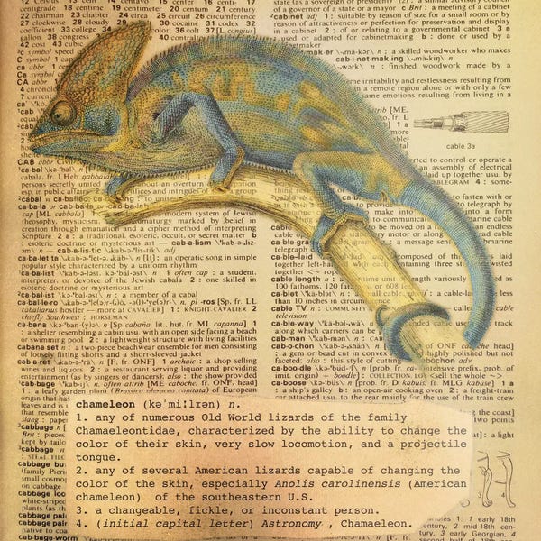 Chameleons: C - Chameleon Square by 5by5collective