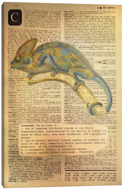 C - Chameleon Canvas Art Print - Alphabetical Animalia
