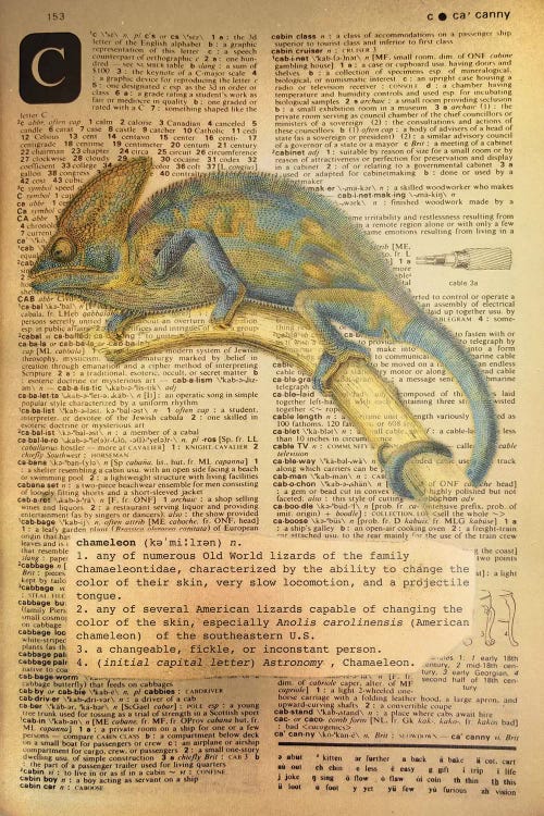 C - Chameleon