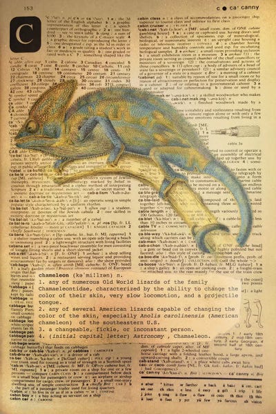 Chameleons: C - Chameleon by 5by5collective