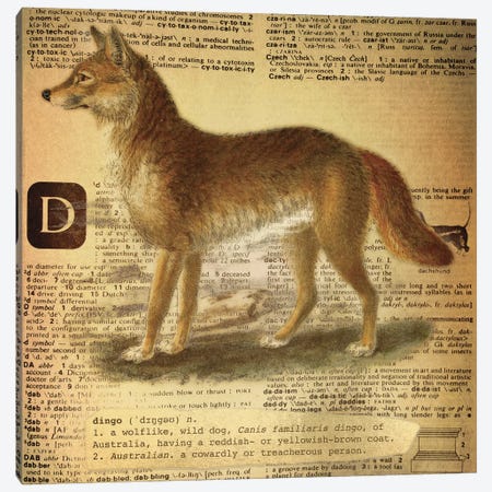 D - Dingo Square Canvas Print #AALP7} by 5by5collective Canvas Art