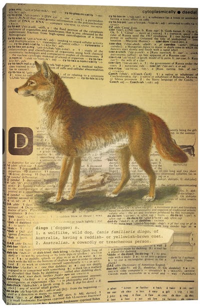 D - Dingo Canvas Art Print - Alphabetical Animalia