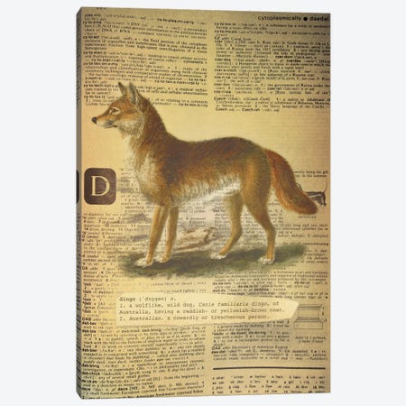 D - Dingo Canvas Print #AALP8} by 5by5collective Canvas Art Print