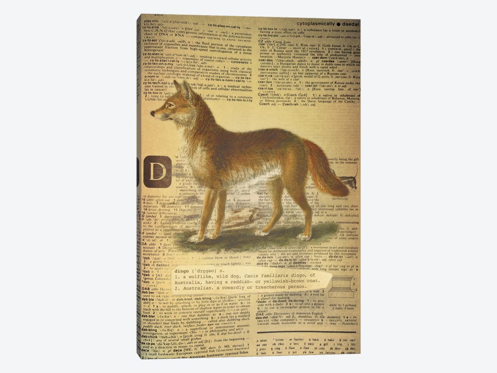 D - Dingo by 5by5collective 1-piece Canvas Artwork