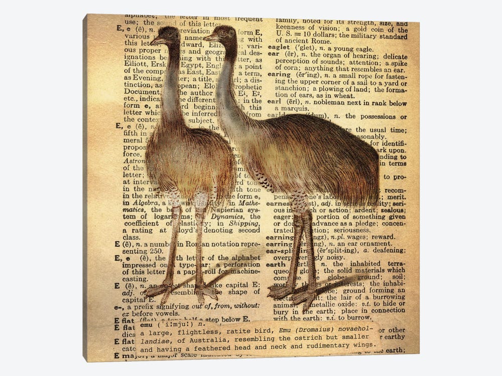 E - Emu Square by 5by5collective 1-piece Canvas Art Print