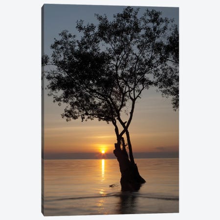 Sunset Silhouette Canvas Print #AAM10} by Aaron Matheson Canvas Art