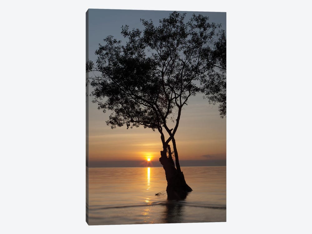 Sunset Silhouette by Aaron Matheson 1-piece Canvas Artwork