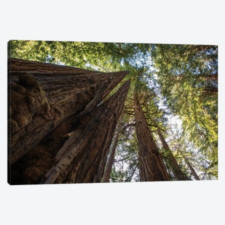 In Awe Canvas Print #AAM11} by Aaron Matheson Canvas Wall Art