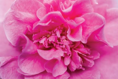 Mysterious Ways I by Aaron Matheson canvas print