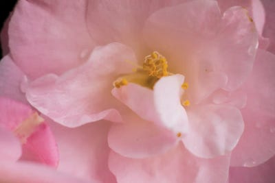 Mysterious Ways II by Aaron Matheson framed wall art