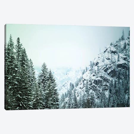 Snowfall in Cascadia II Canvas Print #AAM5} by Aaron Matheson Canvas Print