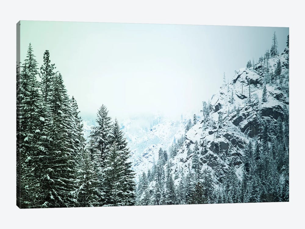 Snowfall in Cascadia II by Aaron Matheson 1-piece Canvas Art