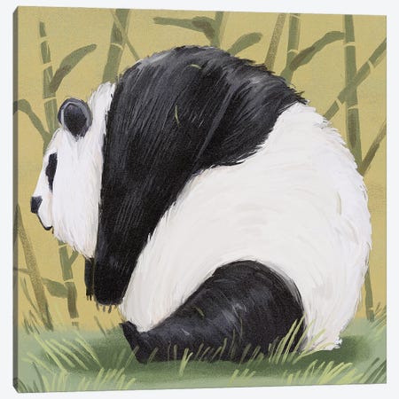 Pandas Are Already Chonky Canvas Print #AAN30} by Annada N. Menon Canvas Print