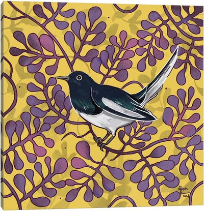 Magpie Robin Canvas Art Print - Robin Art