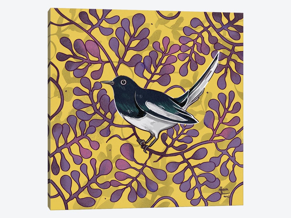 Magpie Robin by Annada N. Menon 1-piece Canvas Print