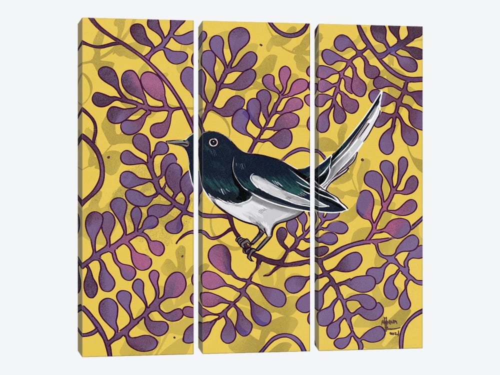 Magpie Robin by Annada N. Menon 3-piece Canvas Art Print