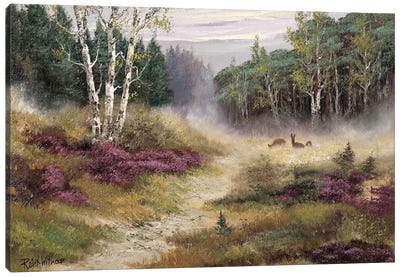 Watching The Deer Canvas Art Print