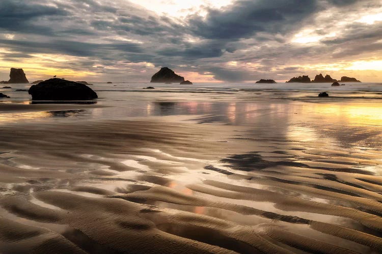 Pacific Low Tide