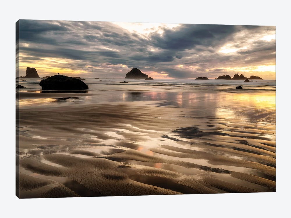 Pacific Low Tide by Andy Amos 1-piece Canvas Art