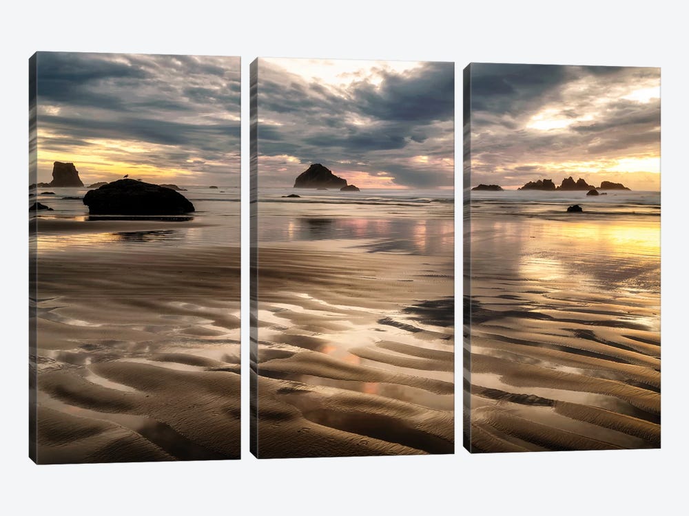 Pacific Low Tide by Andy Amos 3-piece Canvas Wall Art