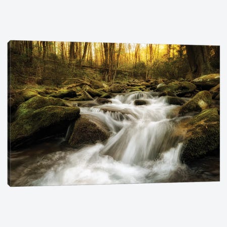 Roaring Fork Canvas Print #AAS14} by Andy Amos Art Print