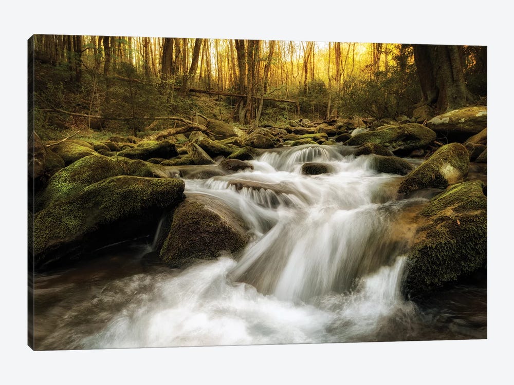 Roaring Fork by Andy Amos 1-piece Canvas Wall Art