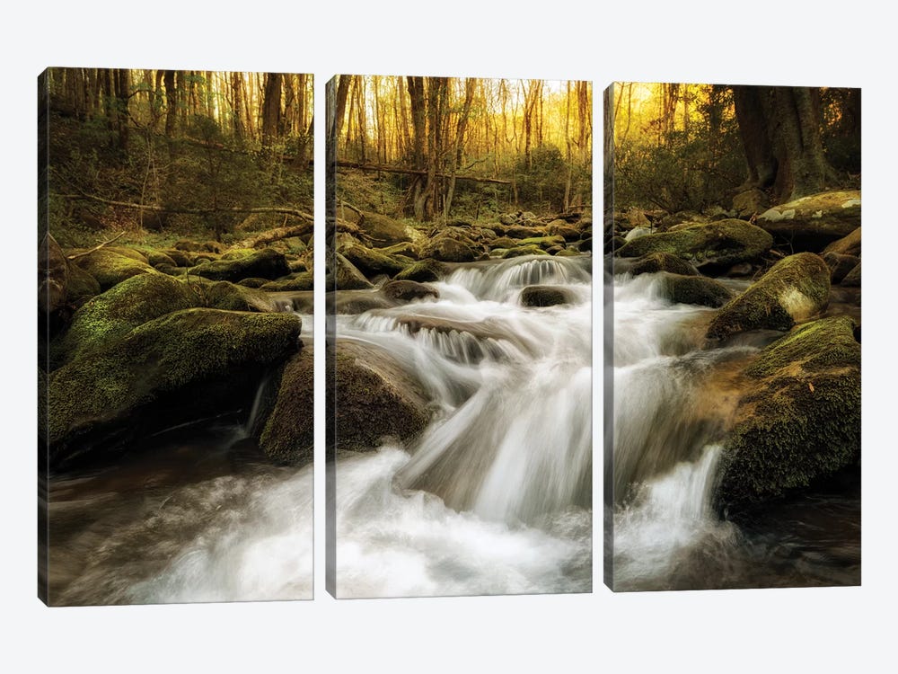 Roaring Fork by Andy Amos 3-piece Canvas Art