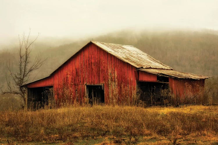 Skylight Barn in the Fog