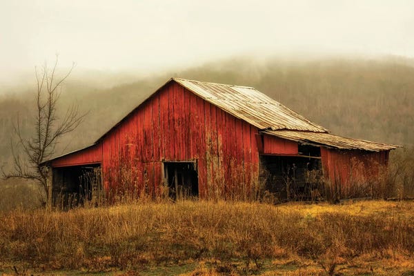 Farms: Skylight Barn in the Fog by Andy Amos