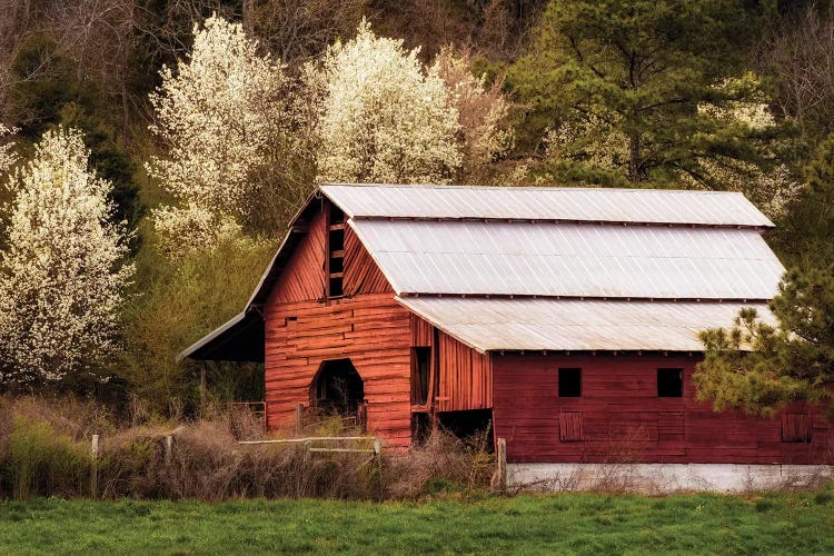 Skylight Red Barn