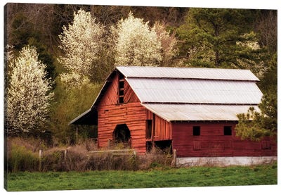 Skylight Red Barn Canvas Art Print - Best Selling Photography