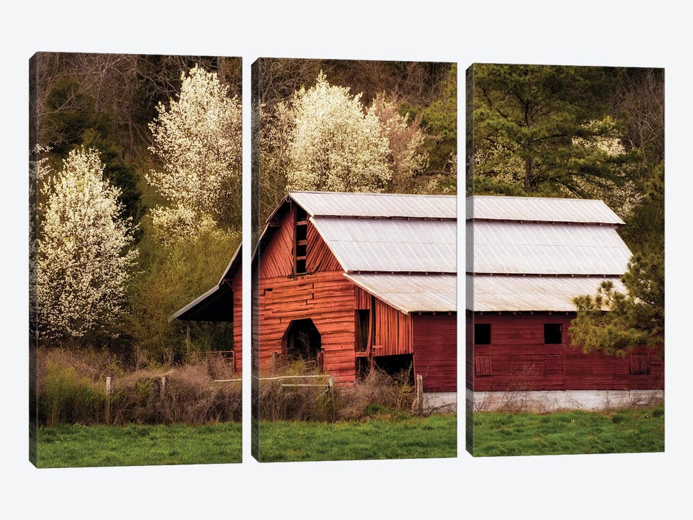 Skylight Red Barn by Andy Amos 3-piece Canvas Artwork