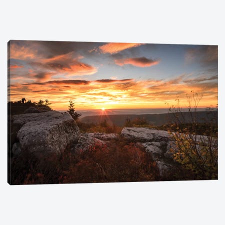 Sunrise in Fall I Canvas Print #AAS18} by Andy Amos Canvas Wall Art