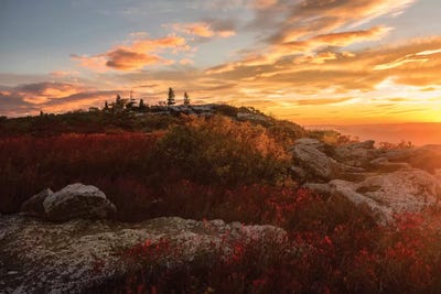 Sunrise in Fall II by Andy Amos canvas print