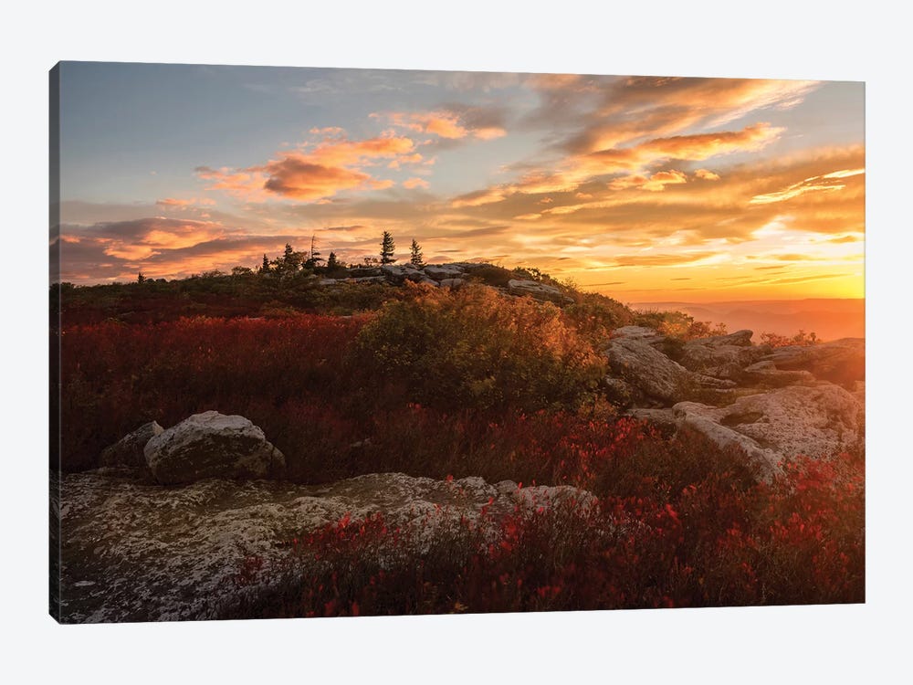 Sunrise in Fall II by Andy Amos 1-piece Art Print